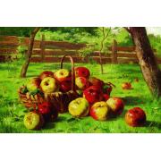 Puzzle Gold Cesta de Manzanas de 500 Piezas