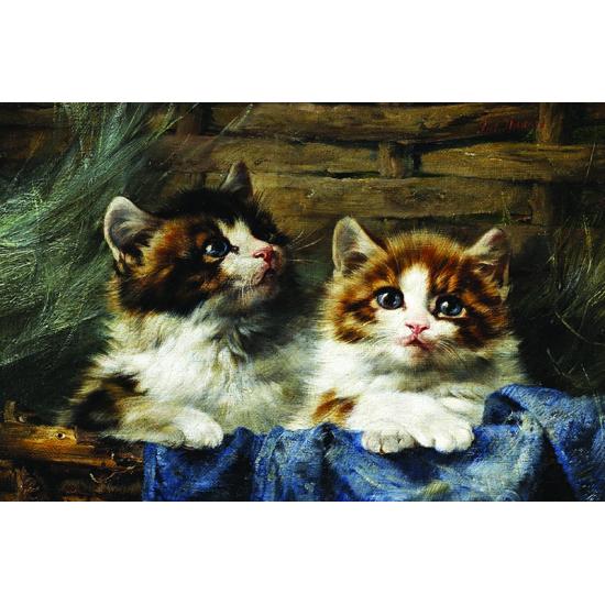 Puzzle Gold Pareja de Gatitos de 500 Piezas