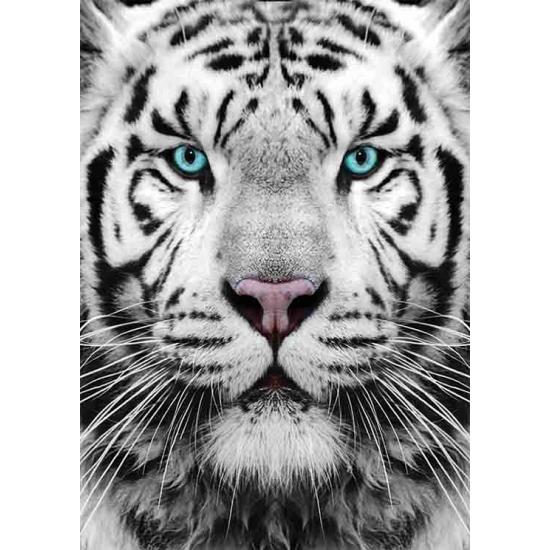 Puzzle Gold Tigre de Siberia de 1000 Piezas