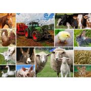 Puzzle Grafika Collage Animales de Granja de 1500 Piezas