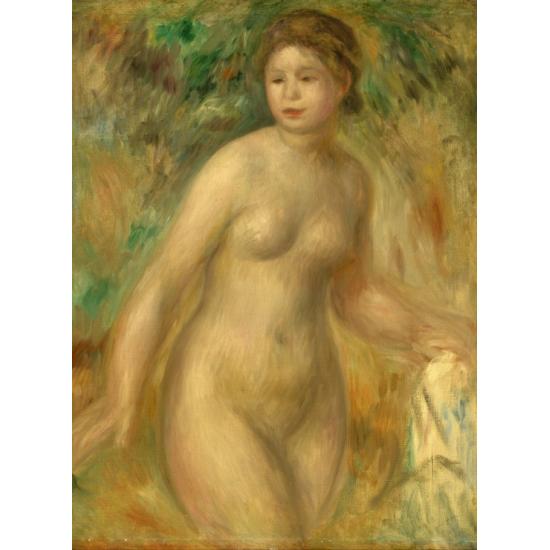 Puzzle Grafika Desnudo de 2000 Piezas Puzzle Grafika Desnudo de 2000 Piezas