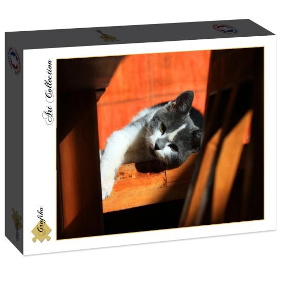 Puzzle Grafika Gatito de 2000 Piezas