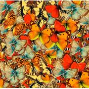 Puzzle Grafika Multitud de Mariposas de 1000 Piezas