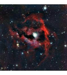 Puzzle Grafika Nebulosa de la Gaviota de 1000 Piezas