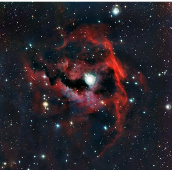 Puzzle Grafika Nebulosa de la Gaviota de 1000 Piezas