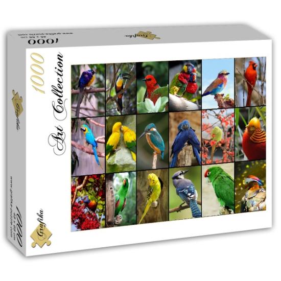 Puzzle Grafika Los Pájaros más Bonitos del Mundo 1000 Piezas Puzzle Grafika Los Pájaros más Bonitos del Mundo 1000 Piezas
