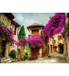Puzzle Grafika Provenza, Francia de 2000 Piezas