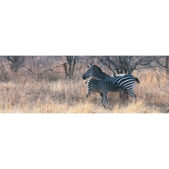 Puzzle Heye Alimentación de 1000 Piezas Puzzle Heye Alimentación de 1000 Piezas