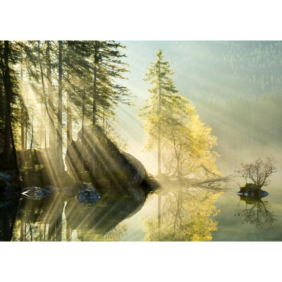 Puzzle Heye Brillo de la Mañana de 1000 Piezas