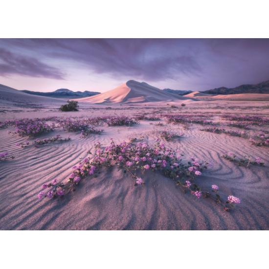 Puzzle Heye Desierto Dinámico de 1000 Piezas