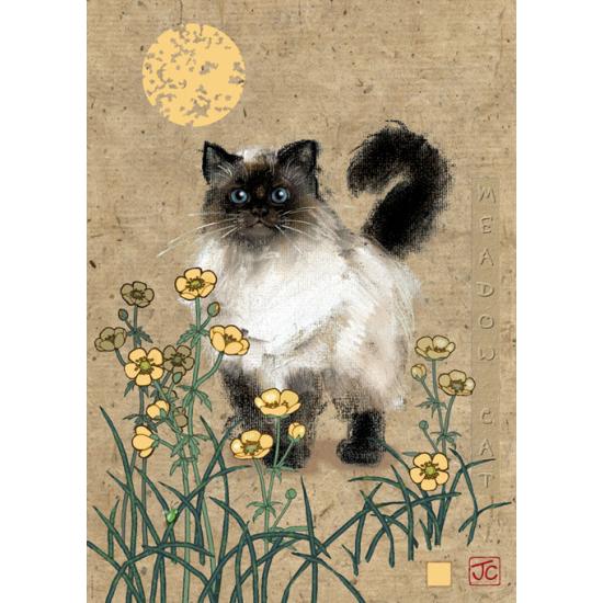 Puzzle Heye Gato Siamés de 1000 Piezas