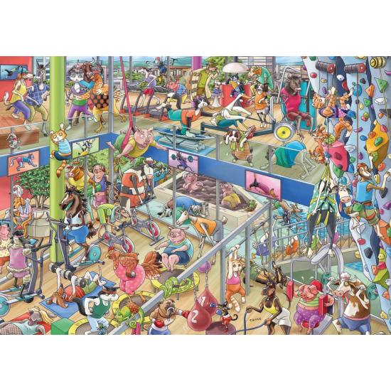 Puzzle Heye Gimnasio para Mascotas Caja Triangular de 1000