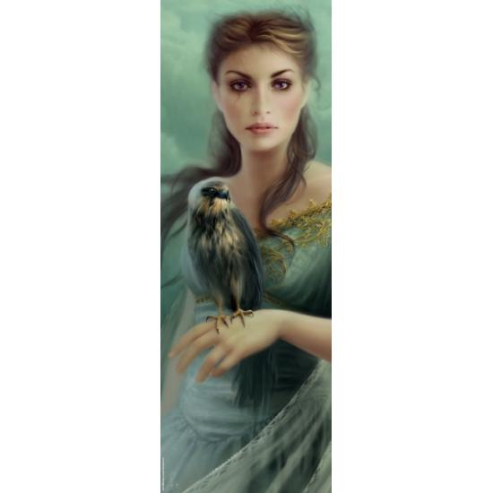 Puzzle Heye Halcón de 1000 Piezas