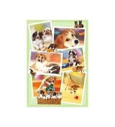 Puzzle Heye Perritos de 1000 Piezas