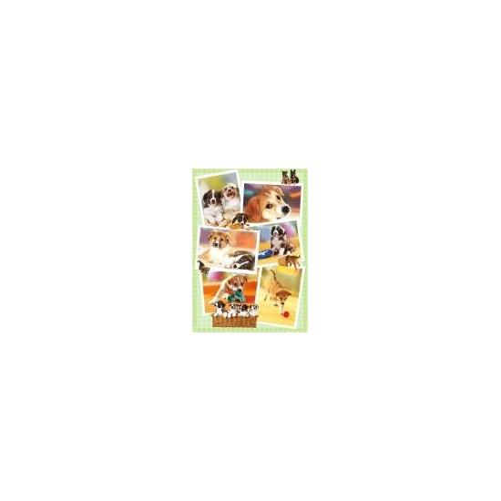 Puzzle Heye Perritos de 1000 Piezas