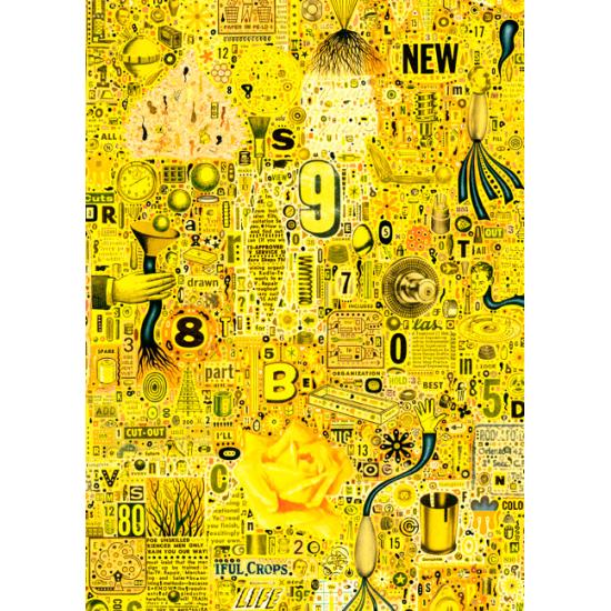 Puzzle Heye Yelow Rose de 1000 Piezas