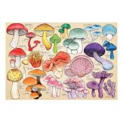 Puzzle House Of Puzzles Colección de Setas de 1000 Piezas