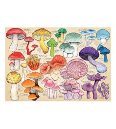 Puzzle House Of Puzzles Colección de Setas de 1000 Piezas