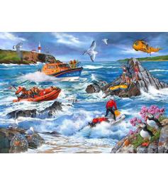 Puzzle House Of Puzzles Contracorriente de 1000 Piezas