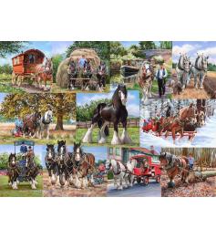 Puzzle House Of Puzzles Caballos de Carga de 1000 Piezas