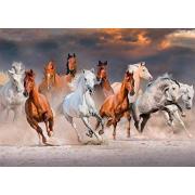 Puzzle Jumbo Caballos del Desierto de 1000 Piezas