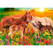 Puzzle Jumbo Caballos en el Arroyo de 500 Piezas