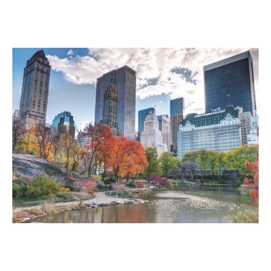 Puzzle Jumbo Central Park, Nueva York de 1000 Piezas