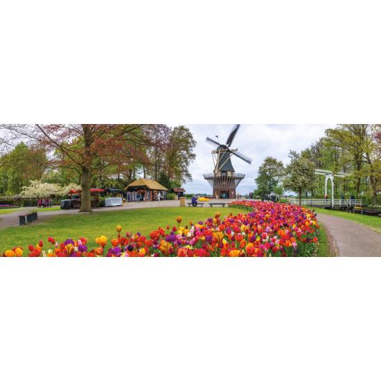 Puzzle Jumbo Panorámica El Keukenhof, Holanda de 1000 Piezas