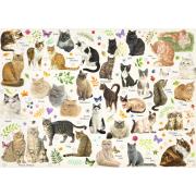 Puzzle Jumbo Poster de gatos de 1000 Piezas