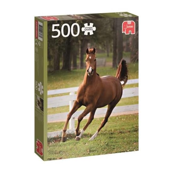 Puzzle Jumbo Potro Jugando de 500 Piezas Puzzle Jumbo Potro Jugando de 500 Piezas