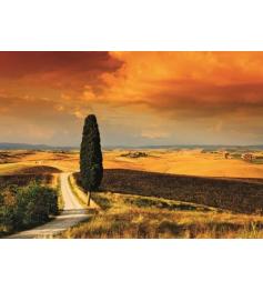 Puzzle Jumbo Puesta de Sol en la Toscana de 1000 Piezas