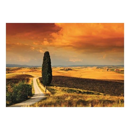 Puzzle Jumbo Puesta de Sol en la Toscana de 1000 Piezas Puzzle Jumbo Puesta de Sol en la Toscana de 1000 Piezas