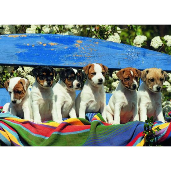 Puzzle Jumbo Qué es eso de 1000 Piezas