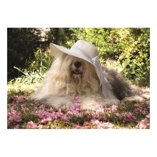 Puzzle Jumbo Sophie en un Lecho de Flores de 500 Piezas