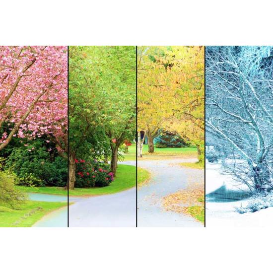 Puzzle Magnolia Árbol de las Cuatro Estaciones de 1500 Piezas Puzzle Magnolia Árbol de las Cuatro Estaciones de 1500 Piezas