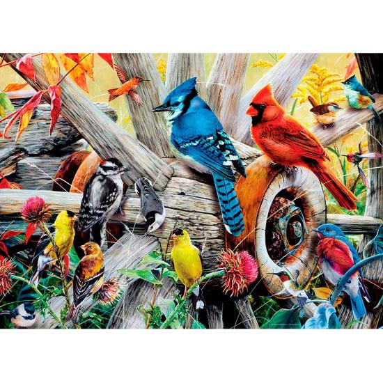 Puzzle MasterPieces Aves del Patio Trasero de 1000 Piezas