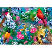 Puzzle MasterPieces Collage de Pájaros Cantores de 1000 Piezas