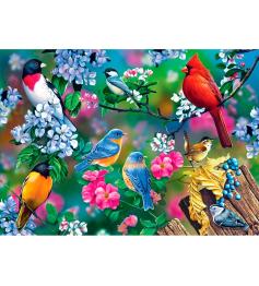 Puzzle MasterPieces Collage de Pájaros Cantores de 1000 Piezas
