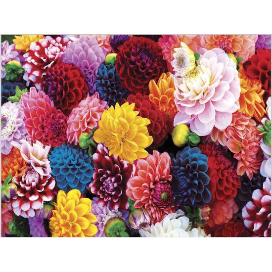 Puzzle MasterPieces Flores Hermosas de 550 Piezas Puzzle MasterPieces Flores Hermosas de 550 Piezas