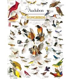 Puzzle MasterPieces Pájaros Cantores de 1000 Piezas