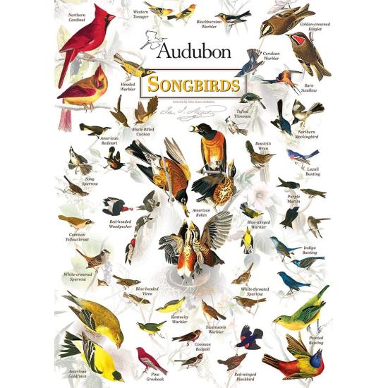 Puzzle MasterPieces Pájaros Cantores de 1000 Piezas Puzzle MasterPieces Pájaros Cantores de 1000 Piezas