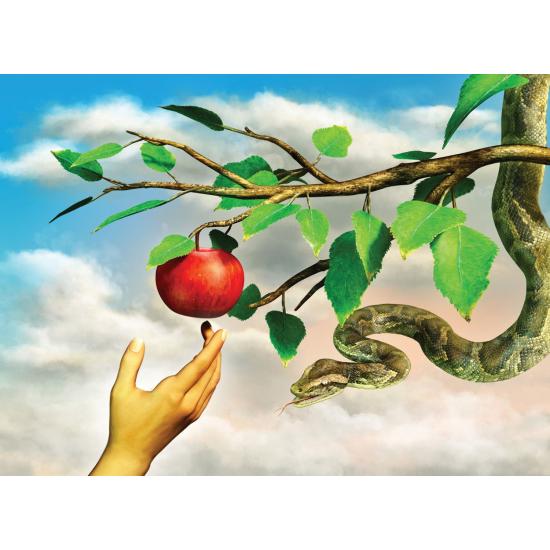 Puzzle Nova Manzana Prohibida de 1000 Piezas Puzzle Nova Manzana Prohibida de 1000 Piezas