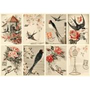 Puzzle Nova Collage de Pájaros Vintage de 1000 Piezas