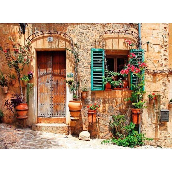 Puzzle Nova Encantadora Calle Vieja de 1000 Piezas