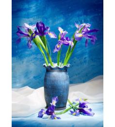 Puzzle Nova Iris de 1000 Piezas