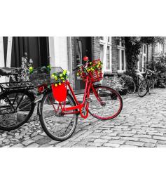 Puzzle Nova La Bicicleta Roja de 1000 Piezas