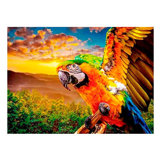 Puzzle Nova Loro Americano de 1000 Piezas