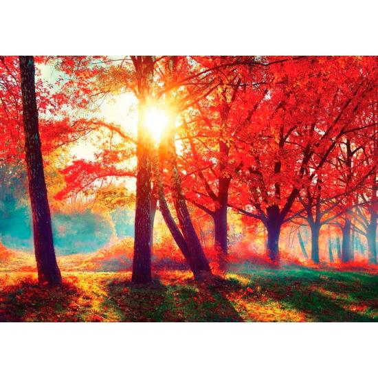Puzzle Nova Otoño Rojo de 1000 Piezas Puzzle Nova Otoño Rojo de 1000 Piezas