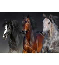 Puzzle Nova Tres Corazones Nobles de 1000 Piezas
