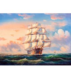 Puzzle Nova Navegando en las Aguas Turbulentas de 1000 Piezas